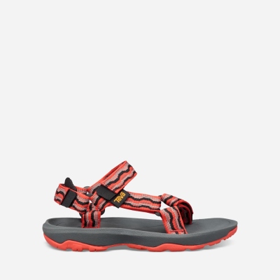 Teva Kids Hurricane XLT 2 Hiking Sandals Sale NZ (HZDRE-7132)